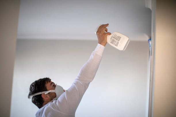 Best Office Mold Removal Services  in Freeburg, IL