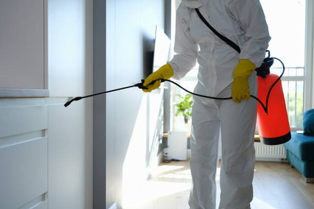 Best Home Mold Removal  in Freeburg, IL